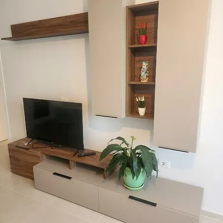 Solis Residence,fleur *